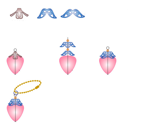 Nbeads tutorials-step2